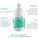 what's inside aguulp for gut - gut supplement