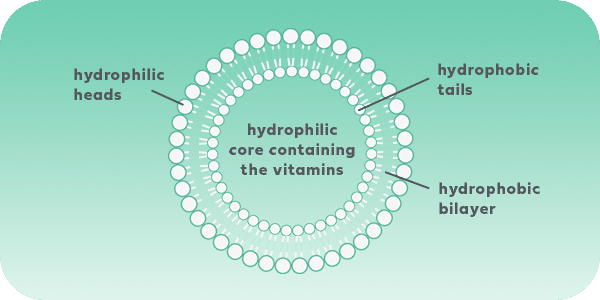 liposome blog