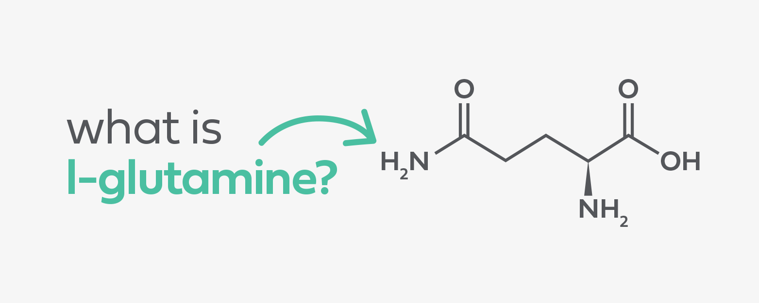 What is l-glutamine? Aguulp Expert Series